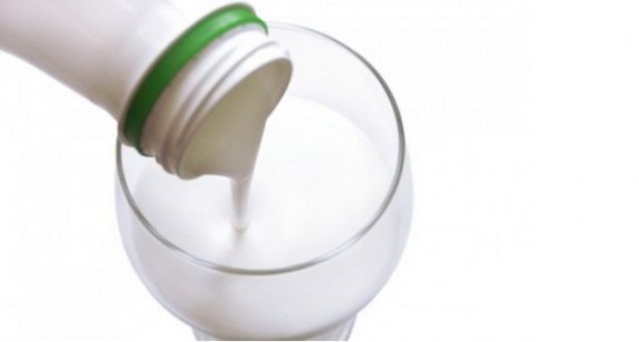 Jogurt