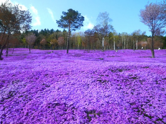 Park Takinoue, Japan