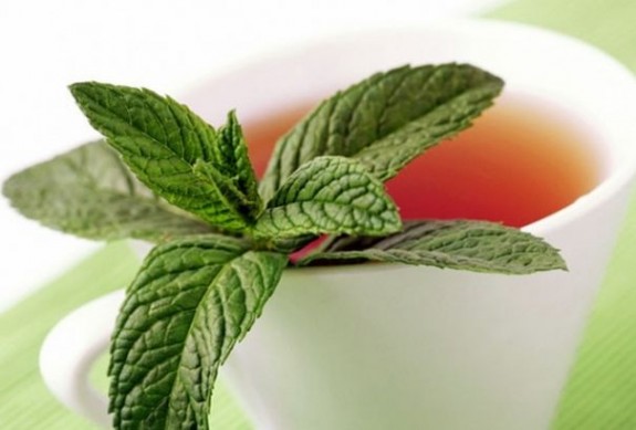 Čaj od nane Čaj od nane