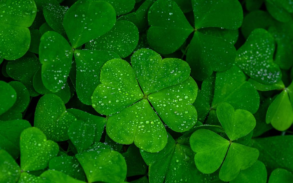 Za ovih 5 znakova 2026. godina će biti puna sreće i uspjeha